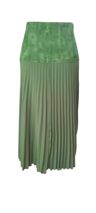 Skirt pleated